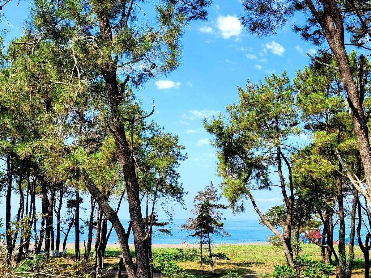 Beachfront Apartments ,,Kapro-One,, Урекі Екстер'єр фото