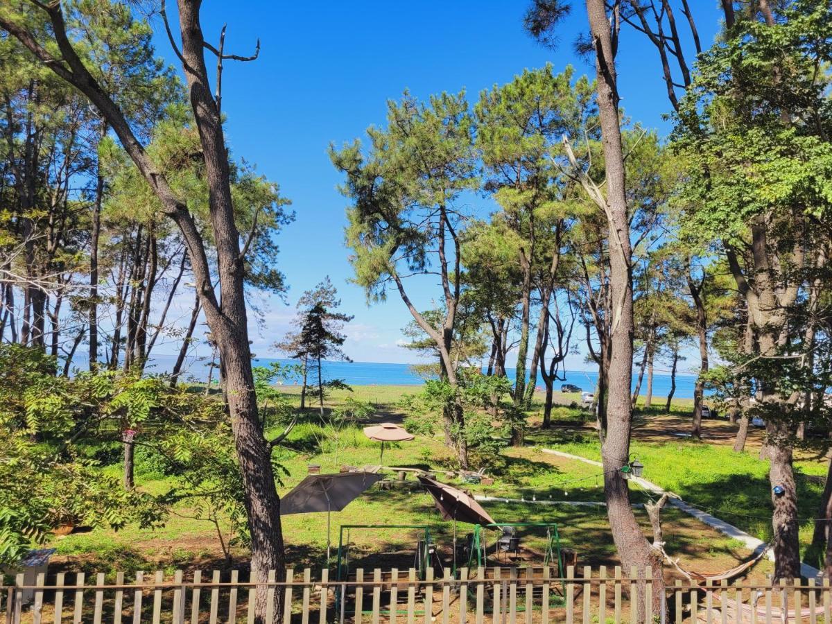 Beachfront Apartments ,,Kapro-One,, Урекі Екстер'єр фото